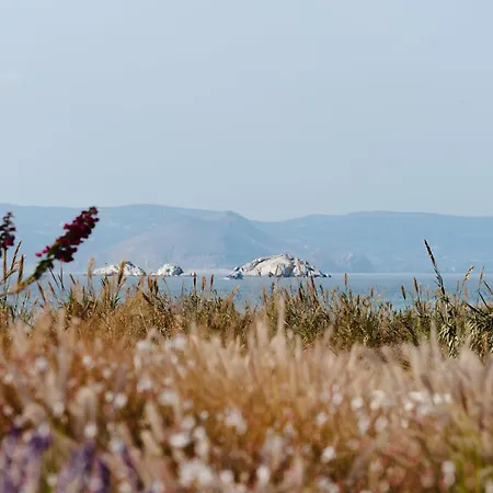 Villa Aura - Beachfront With Private Pool Kastrákion