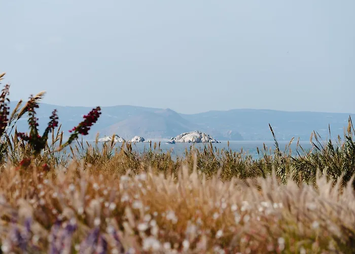 Вилла Aura - Beachfront With Private Pool Кастраки
